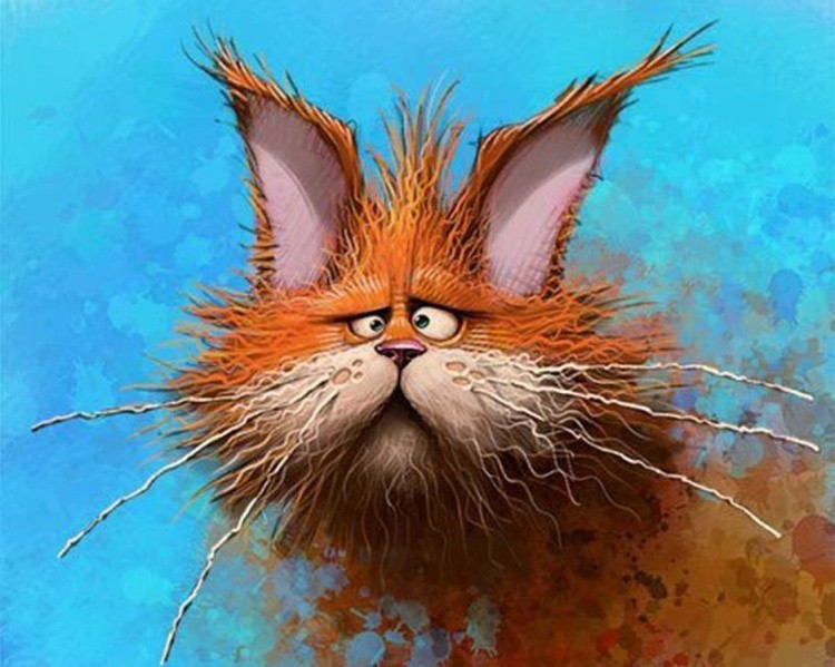 Картина по номерам «Смешной кот»