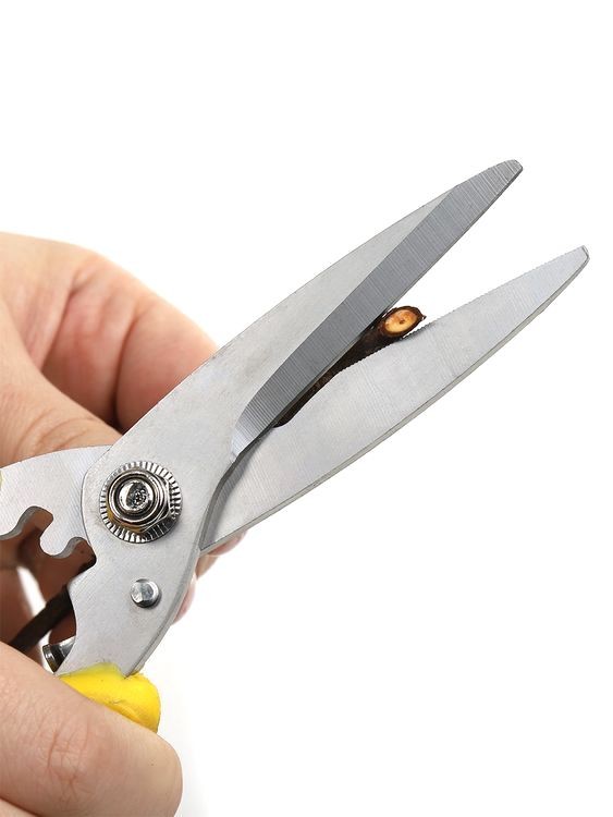 Секатор Maxwell прямое лезвие, 80/210 мм, ручки желто-черный пластик — картинка 9