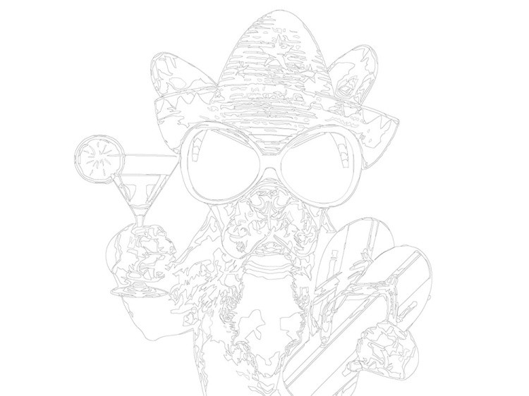 Картина по номерам «Пёс-мексиканец» — картинка 3