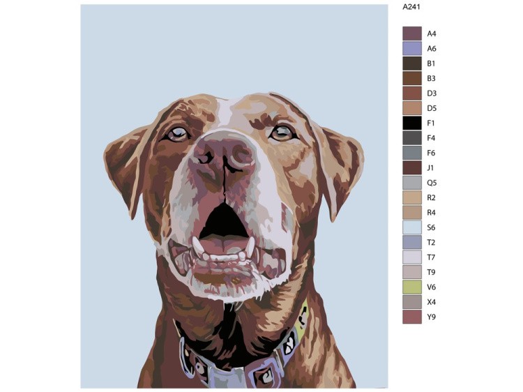 Картина по номерам «Феликс» — картинка 2