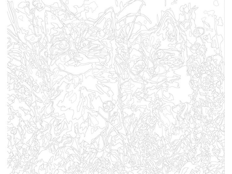 Картина по номерам «Два котёнка» — картинка 3