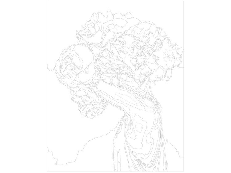 Картина по номерам «Цветочная голова 8» — картинка 3