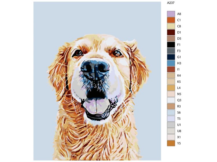 Картина по номерам «Дункан» — картинка 2