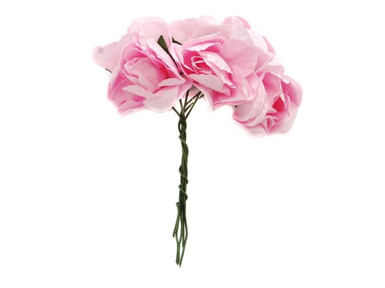 Набор цветов «Бальзамин розовый»