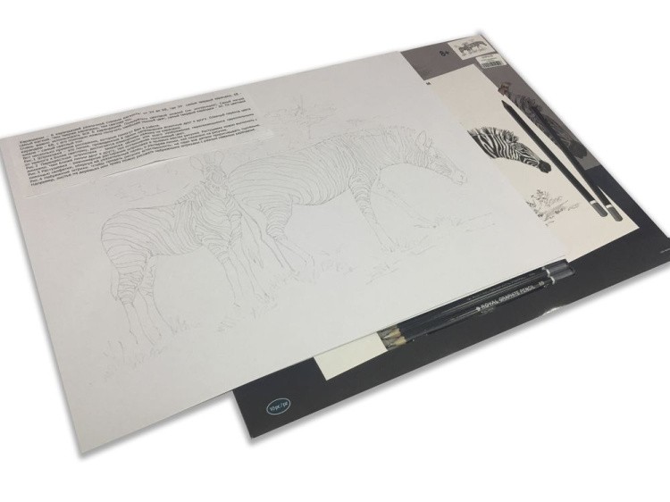 Набор для скетчинга «Чайка» — картинка 6