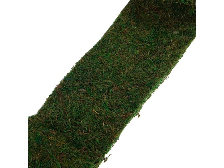 Лента из натурального мха 1,2 м, цвет: зеленый 1 шт., Blumentag — картинка 3