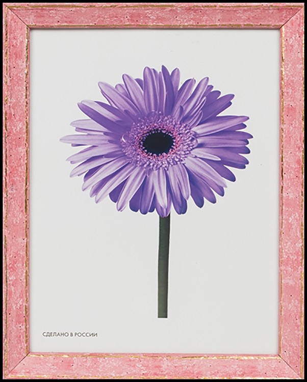 Рамка для картин «Viola» розовая, 15x20 см — картинка 5