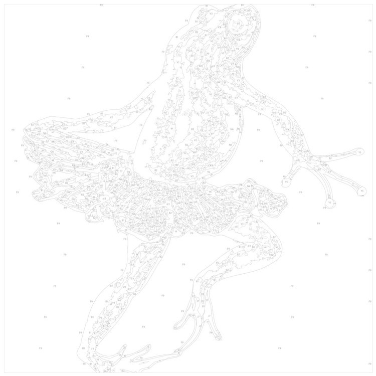 Картина по номерам «Лягушка в пачке» — картинка 3