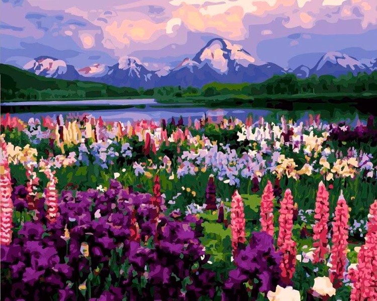 Картина по номерам «Долина цветов»