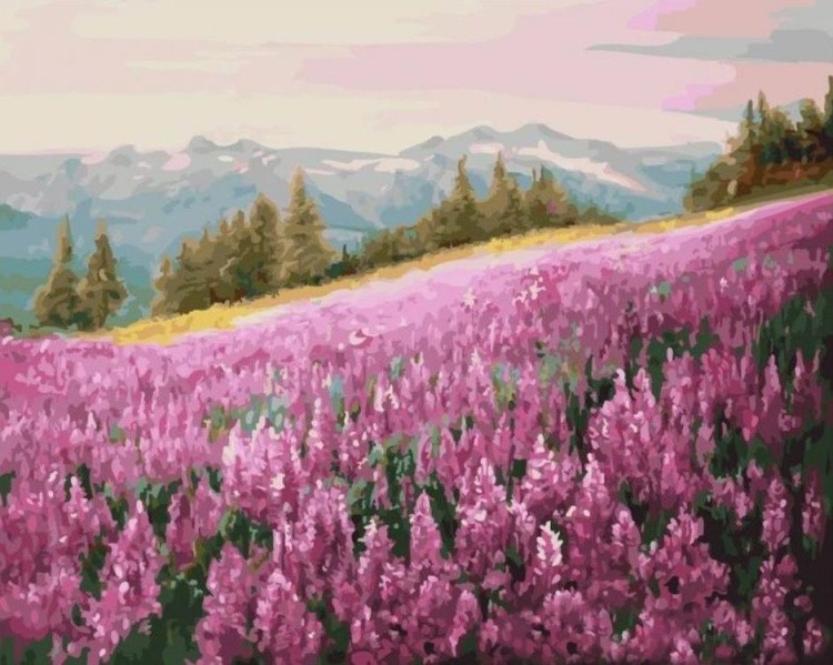 Картина по номерам «Розовое поле»