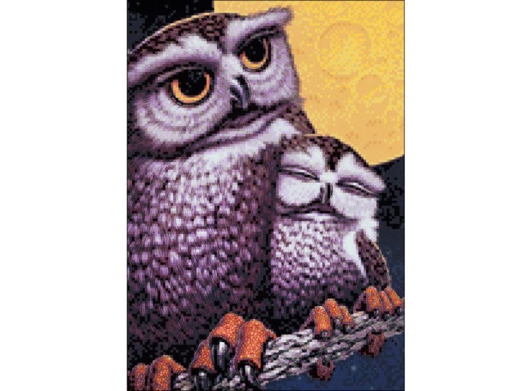 Алмазная вышивка «Совы» — картинка 2