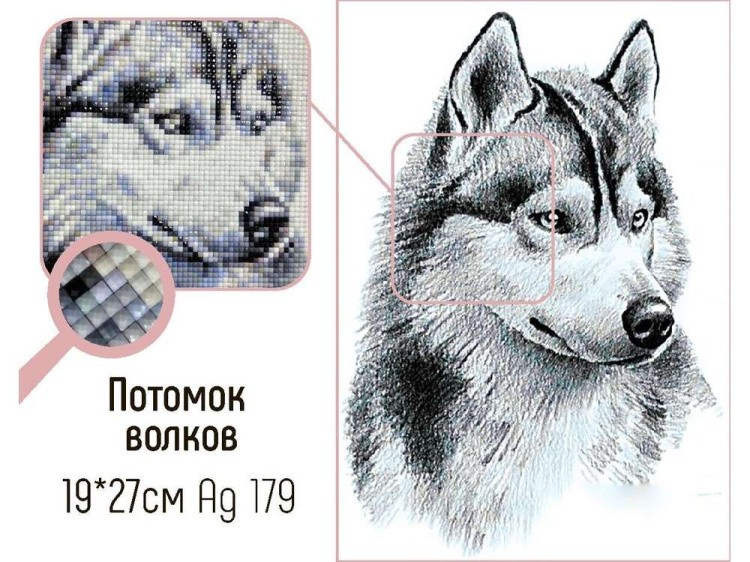 Алмазная вышивка «Потомок волков» — картинка 2