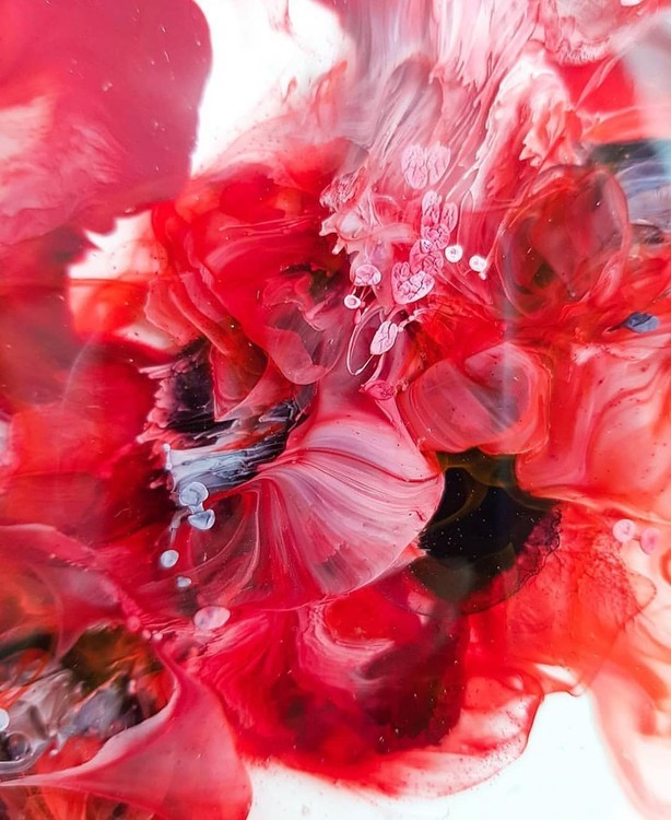 Краска для Петри Petri 10 Алый поцелуй 5 мл, Kamenskaya Ink — картинка 4