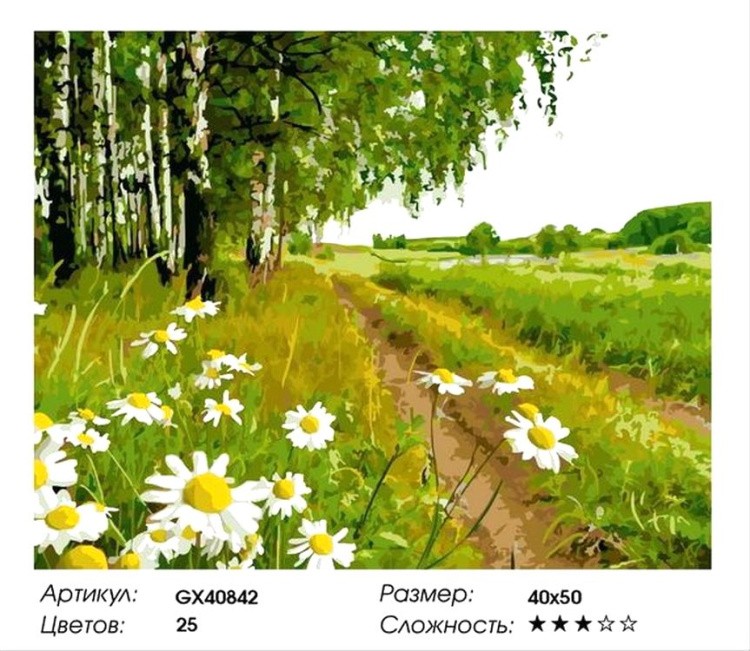 Картина по номерам «Тропинка рядом с полем» — картинка 2