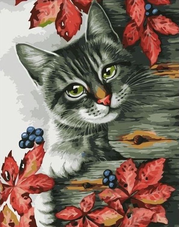 Картина по номерам «Кошка»
