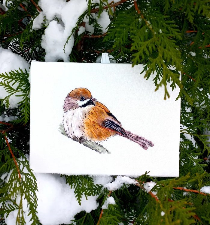 Набор для вышивания «Гаичка» — картинка 2