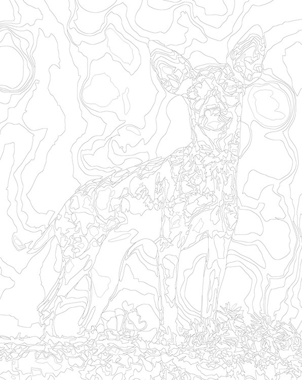 Картина по номерам «Собаки: Той терьер в лесу 40x50» — картинка 3