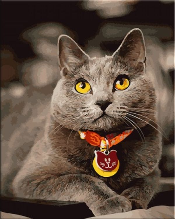 Картина по номерам «Британский кот»