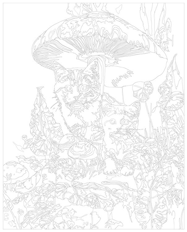 Картина по номерам «Коты в лесу с грибами» — картинка 3