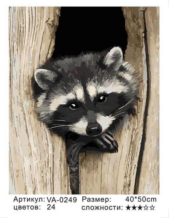 Картина по номерам «Енот» — картинка 2