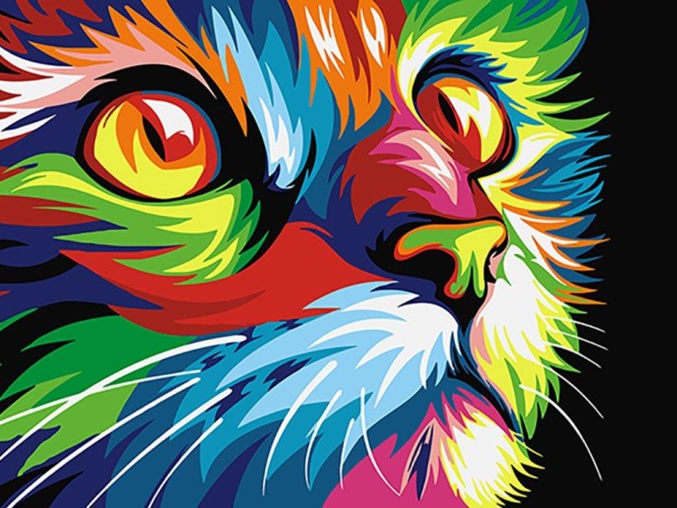Картина по номерам «Радужный кот»