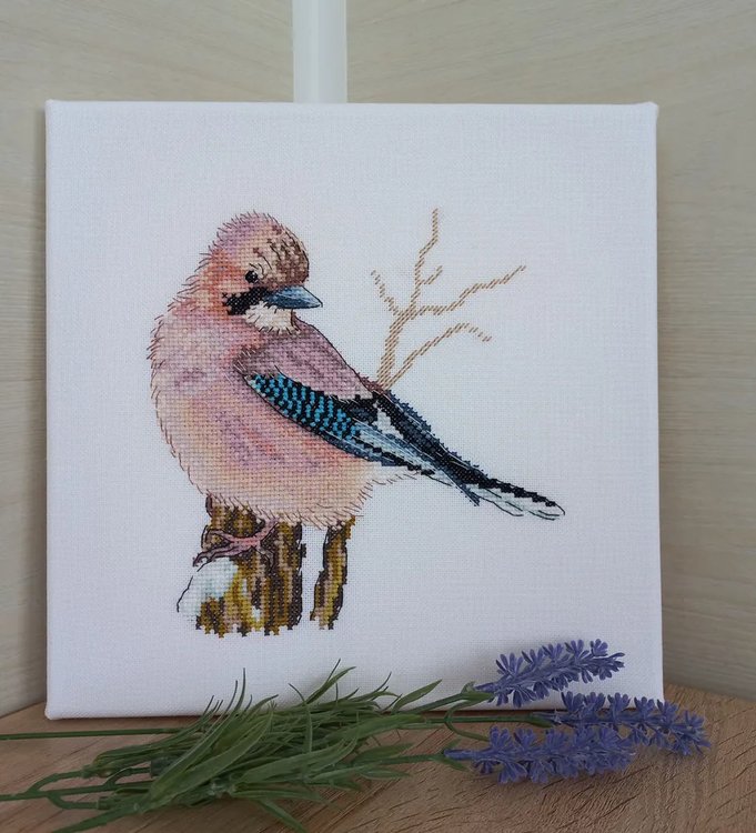 Набор для вышивания «Сойка-пересмешница» — картинка 2