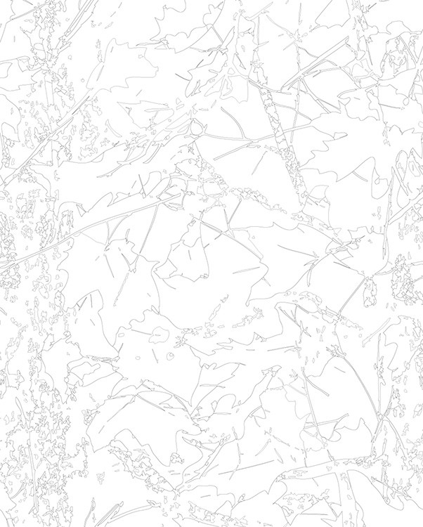 Картина по номерам «Осенние листья монохром арт, клен 40x50» — картинка 3