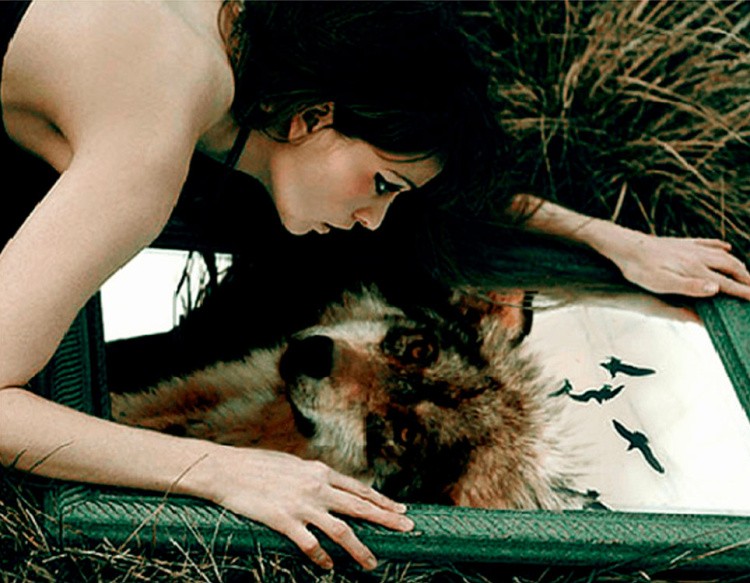 Картина по номерам «Волчица» — картинка 2