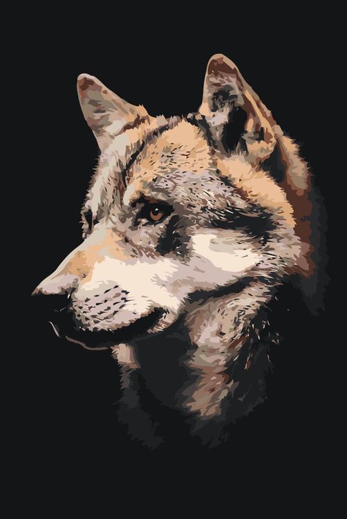 Картина по номерам «Красивый волк»