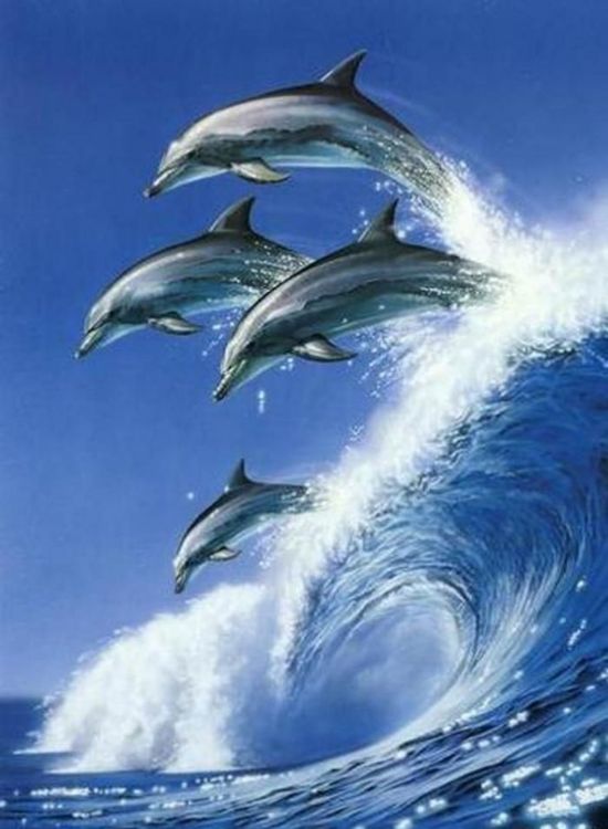 Алмазная вышивка «Игры дельфинов»