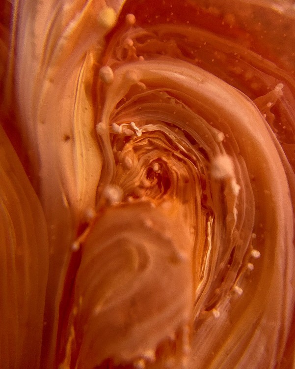 Краска для Петри Тыква 5 мл, Kamenskaya Ink — картинка 5