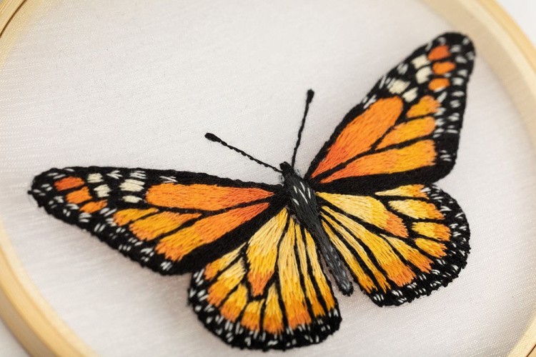 Набор для вышивания «Бабочка. Монарх» — картинка 3
