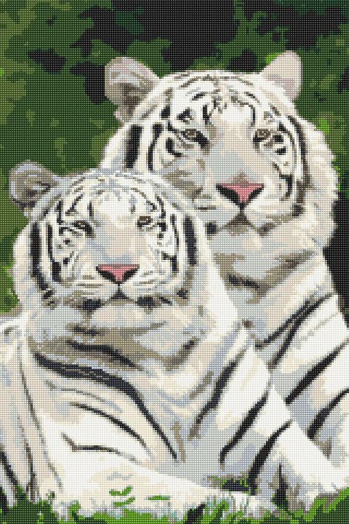 Алмазная вышивка «Тигры альбиносы» — картинка 2