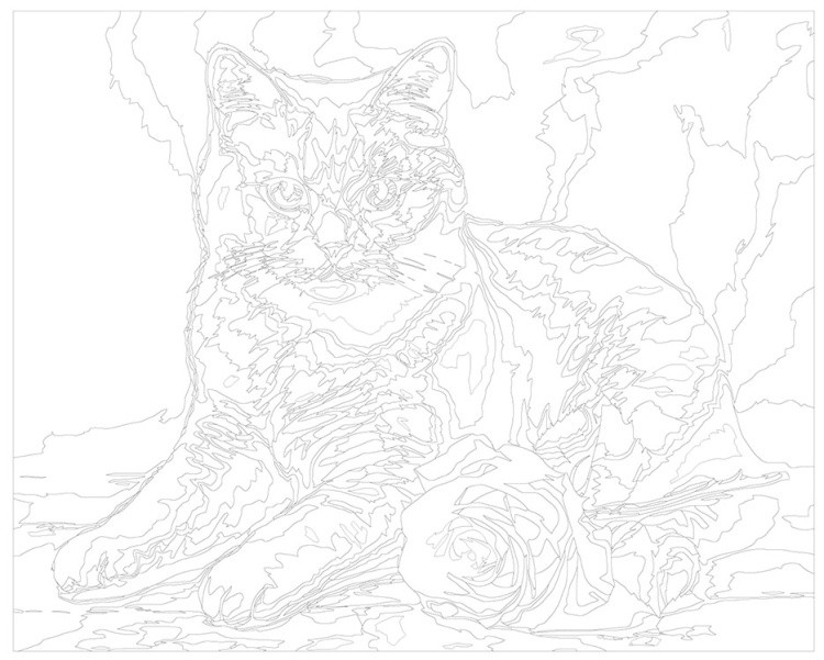 Картина по номерам «Британский кот с красной розой» — картинка 3