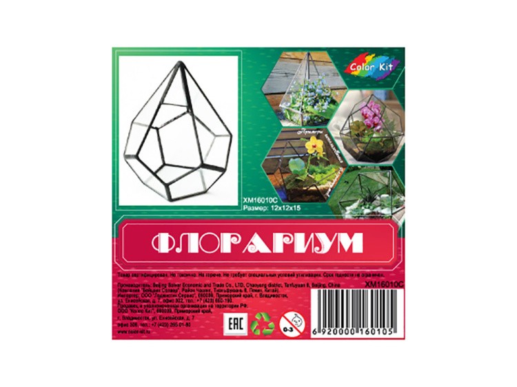 Флорариум капля-2 — картинка 6