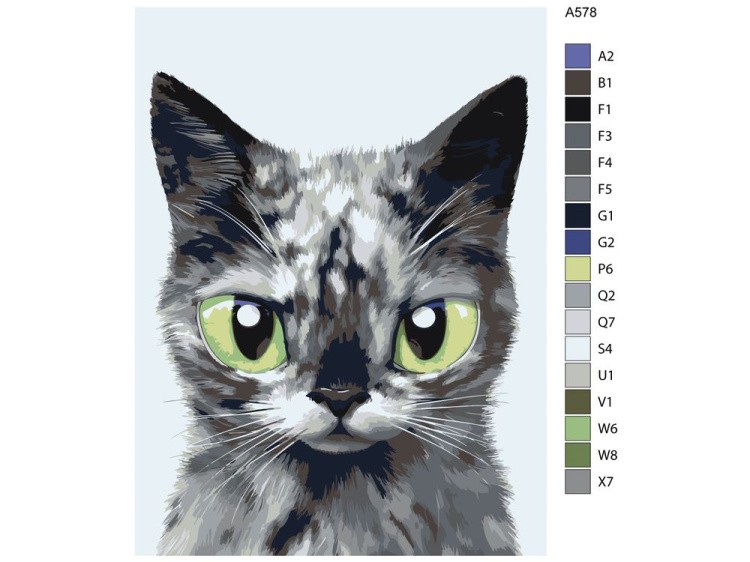 Картина по номерам «Бася» — картинка 2