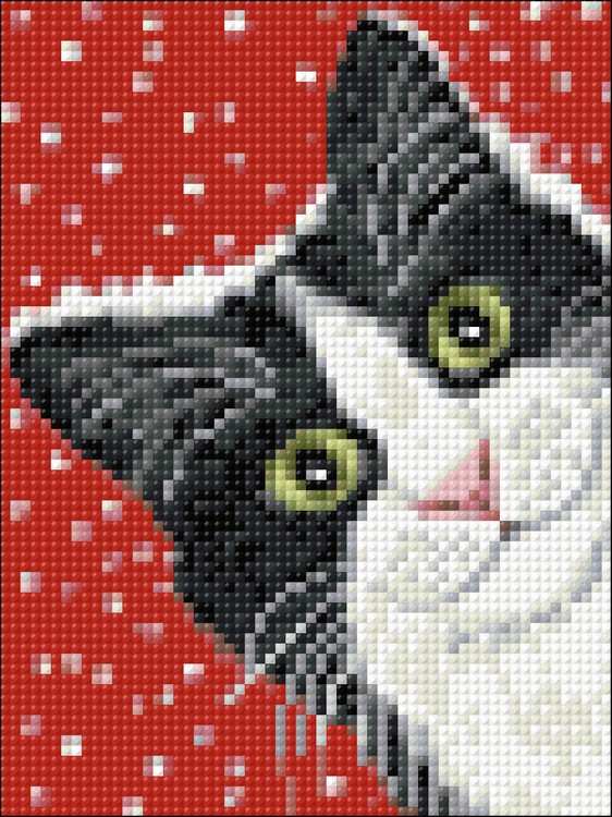 Алмазная вышивка «Праздничный кот» — картинка 2