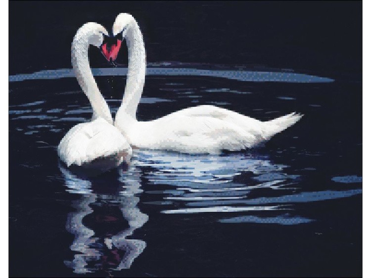 Алмазная вышивка «Влюбленные лебеди на пруду» — картинка 2