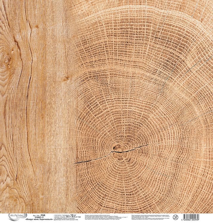 Бумага для скрапбукинга «Вокруг меня, Коричневый 3», 190 г/м2, 30,5x30,5 см, 10 шт., Mr.Painter — картинка 3