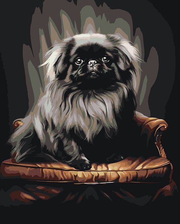 Картина по номерам «Собака черный Пекинес на кресле» EVEE-pekines-0001  Живопись по Номерам 40x50 - купить недорого в Москве по цене производителя,  отзывы, фото в интернет магазине Цветное