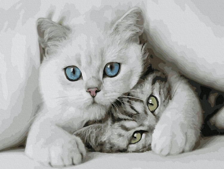 Картина по номерам «Милые котята»
