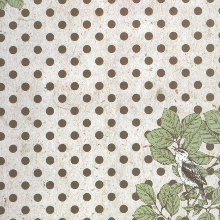 Набор бумаги для скрапбукинга «Арабеска» 30,5x30,5 см — картинка 9