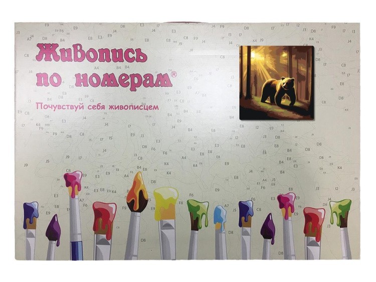 Картина по номерам «Медведь в лучах солнца» — картинка 5