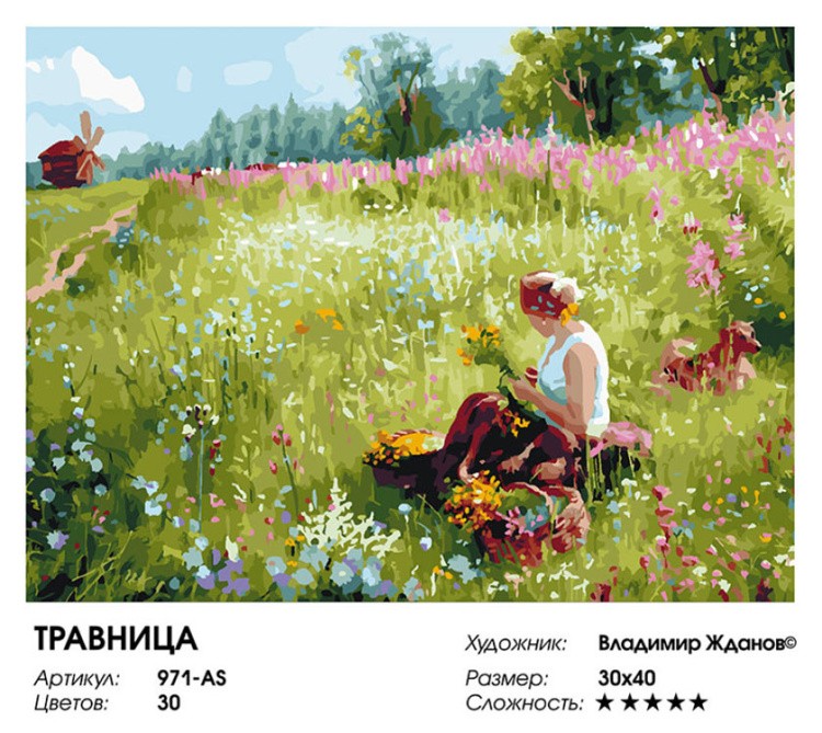 Картина по номерам «Травница» — картинка 2