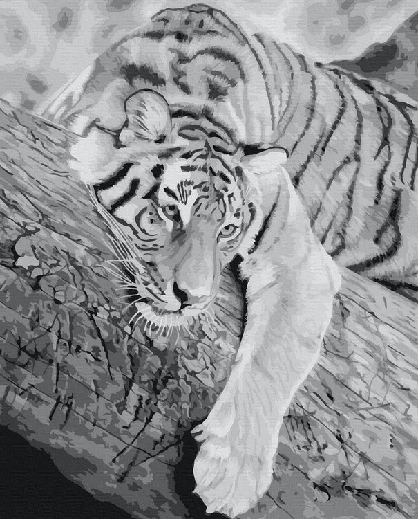 Картина по номерам «Тигр на дереве»