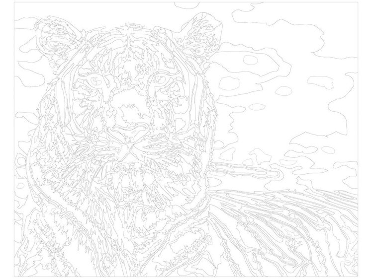 Картина по номерам «Тигр» — картинка 3