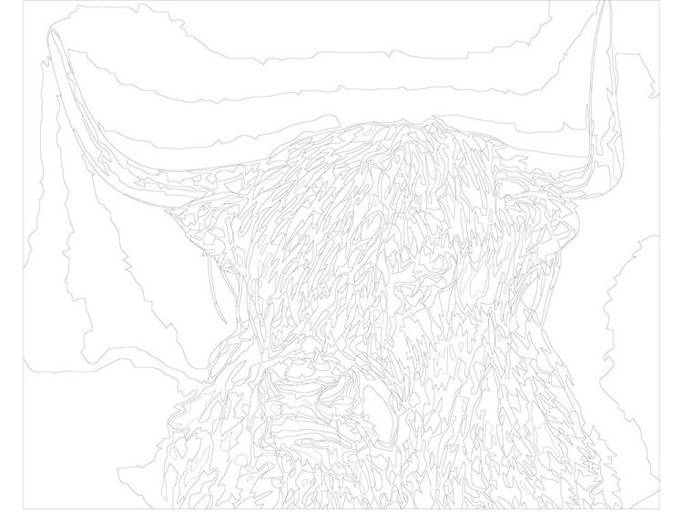 Картина по номерам «Бизон» — картинка 3