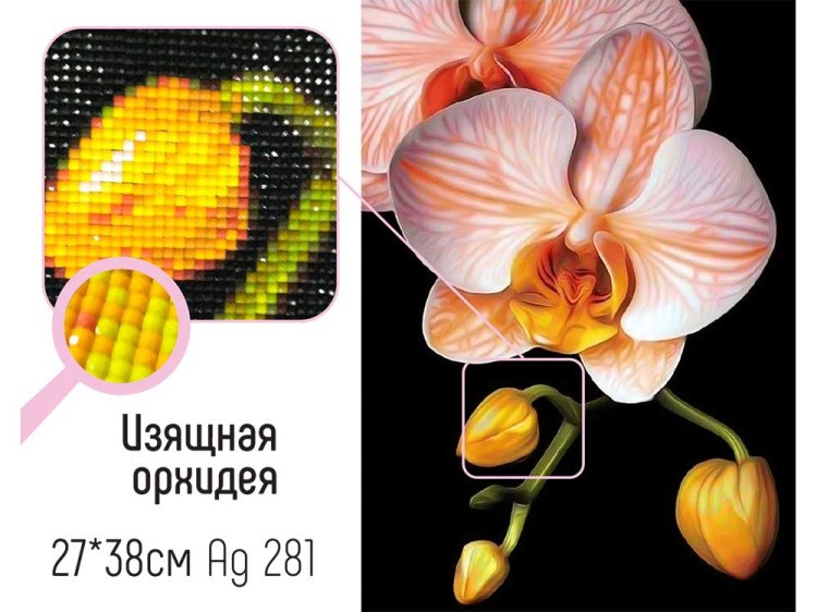 Алмазная вышивка «Изящная орхидея» — картинка 2