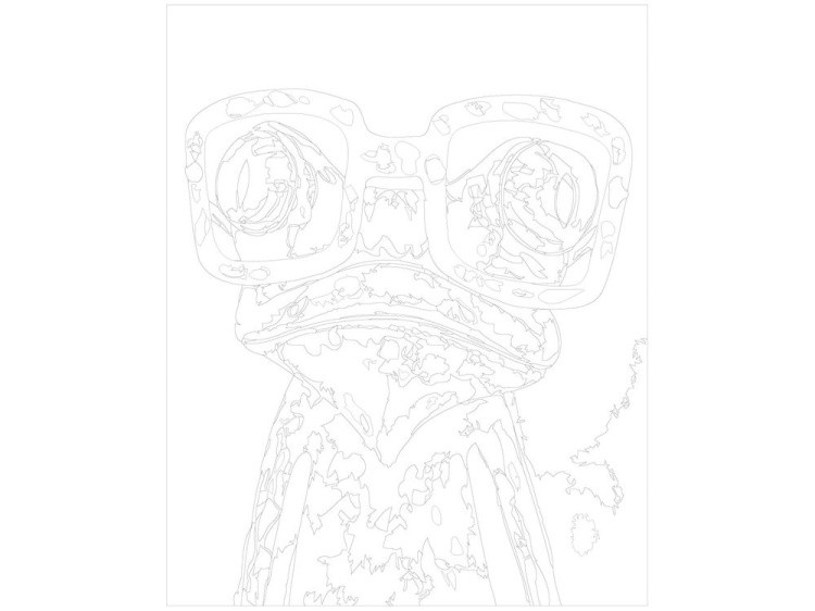 Картина по номерам «Лягушонок в очках» — картинка 3