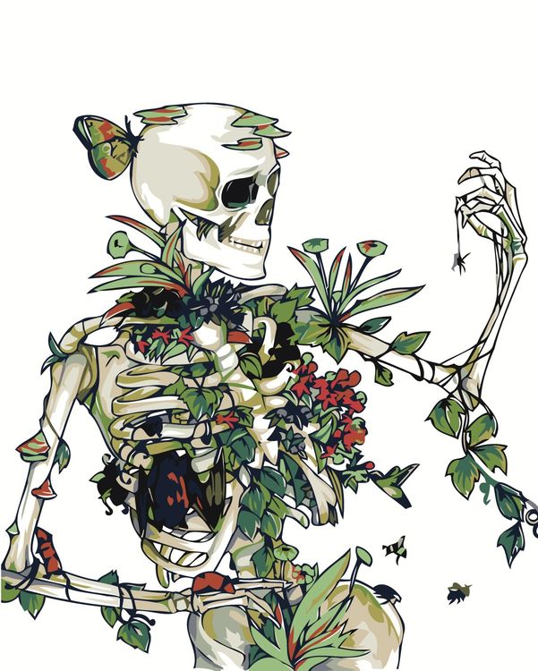 Картина по номерам «Скелет с цветами»